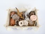 a box of clay animals in it on a white surface