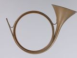 a brass instrument with a long horn on a white surface