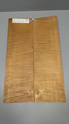 Fond en érable pour violon, en deux parties, ~39,5cm
