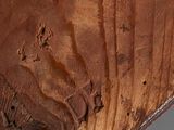 a close up of a piece of wood with a piece of wood sticking out of it
