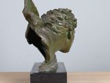 bronze sculpture of a head of a bird on a marble base