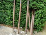 four glass vases that are sitting on the ground