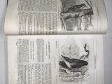 an open book with a picture of a whale on it