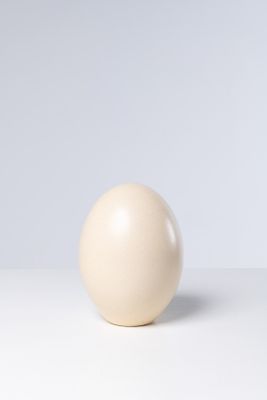 une boule blanche posée sur une table près d'un mur blanc