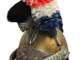 a helmet with feathers on top of it on a white background