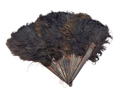un éventail noir orné de plumes sur fond blanc