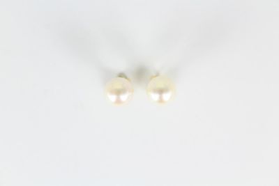 une paire de boucles d'oreilles en perles sur fond blanc
