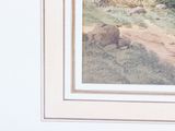a picture of a bear that is walking down the road