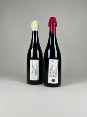 deux bouteilles de vin posées l'une à côté de l'autre sur une table