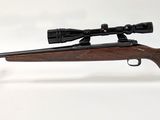 le fusil repose sur un support transparent équipé d'une lunette de visée