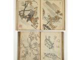 three books with drawings of birds and flowers on them