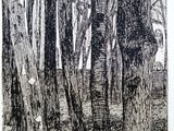 une image représentant un dessin d'une forêt avec des arbres au premier plan