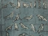 many birds that are sitting on the ground together