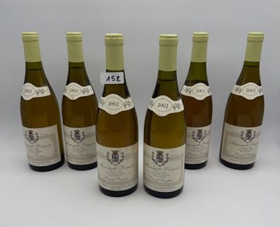 six bouteilles de vin sont alignées sur une surface blanche