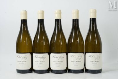 six bouteilles de vin sont alignées sur une surface blanche