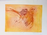 a picture of a bird that is flying in the sky