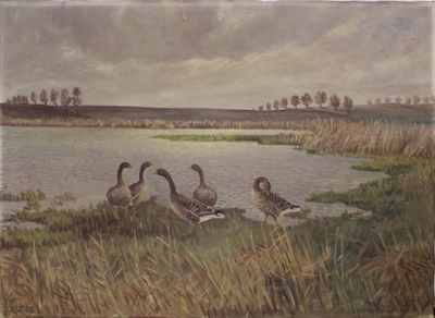 three ducks that are standing in the grass by the water