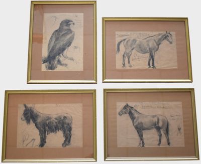 trois dessins encadrés représentant des chevaux et un oiseau sur un mur blanc