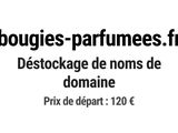 Photo 1/1 du lot