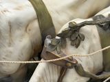 a statue of a horse that is tied to a rope