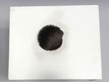 a white square with a small black object inside of it