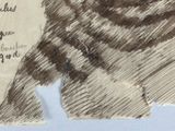 a drawing of an owl that is on a piece of paper