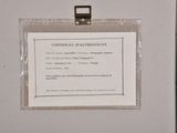 a picture of a certificate is attached to a wall