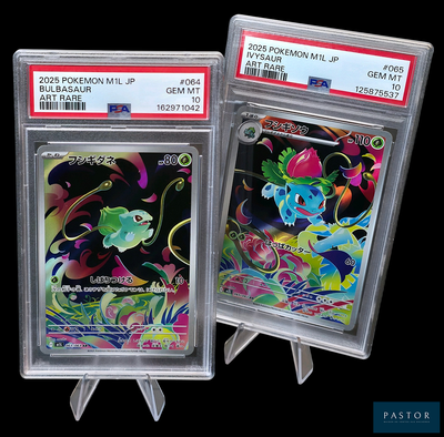 deux cartes à collectionner Pokémon dans des pochettes en plastique, sur fond noir