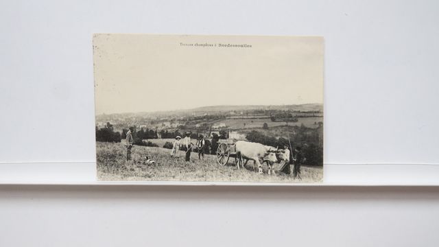 Types Creusois Travaux champêtres à Bordessoule, Commune de St-Qu...