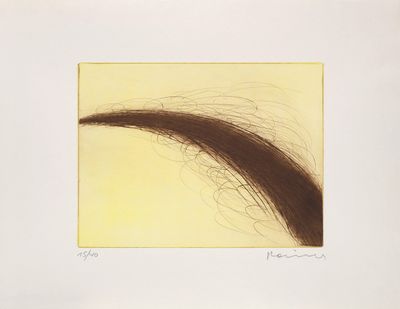 an image of a drawing of a brown hair on a yellow background