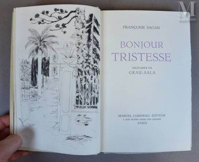 quelqu'un tient un livre dans lequel figure le dessin d'un jardin