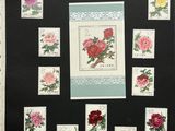 an image of a picture of a picture of flowers on a black background