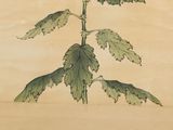 a drawing of a plant with green leaves on it
