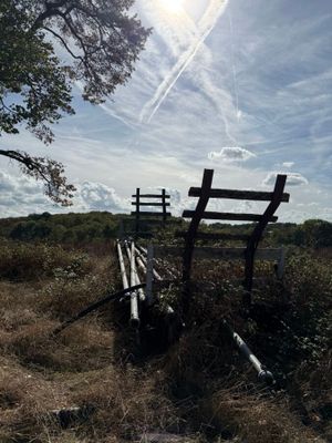 a wooden bench sitting in the middle of a field