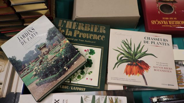 Les peintres de Fleurs en France de REDOUTE à REDON. Ed. de l’ama...