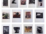plusieurs photographies d'une série de tableaux accrochés à un mur blanc