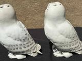 two white birds sitting on top of a black table