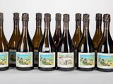 six bouteilles de vin sont alignées sur une table