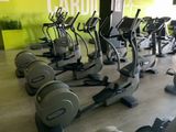 des rangées de vélos d'appartement dans une salle de sport avec un mur végétalisé