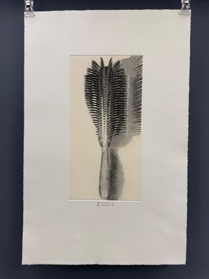 une photographie en noir et blanc représentant un pinceau accroché à un mur