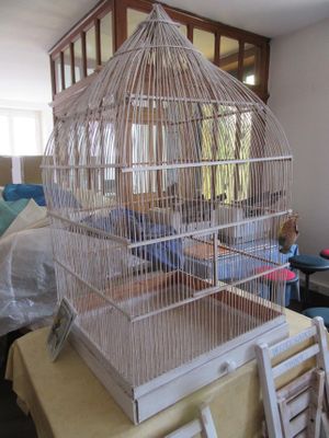 une cage à oiseaux posée sur une table dans un salon