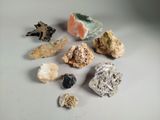 de nombreux types de roches et de pierres sur la table