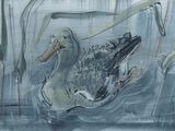 un dessin représentant un canard dans l'eau, au milieu des roseaux