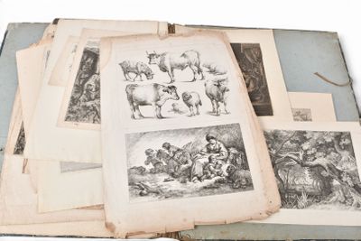 many pictures of animals on the pages of a book