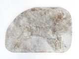 a rock with a horse on it on a white surface