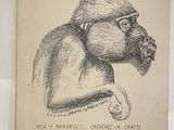 dessin représentant un singe portant des lunettes, posé sur un bloc-notes posé sur une table