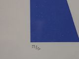 a drawing of a blue triangle with a smaller triangle in the middle