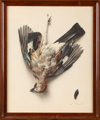 André WILQUIN (1899-2000) Trophée de geai Aquarelle sur papi…