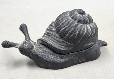 un petit escargot noir qui est posé par terre