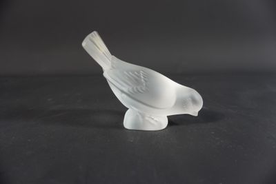 un petit oiseau blanc perché sur une table